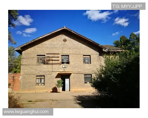 排球场上的奋斗与荣耀黄芳的职业生涯回顾与展望