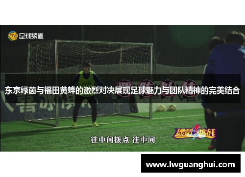 东京绿茵与福田黄蜂的激烈对决展现足球魅力与团队精神的完美结合
